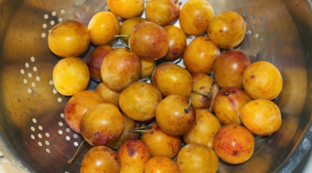 Coupe de la Mirabelle les 17 et 18 septembre